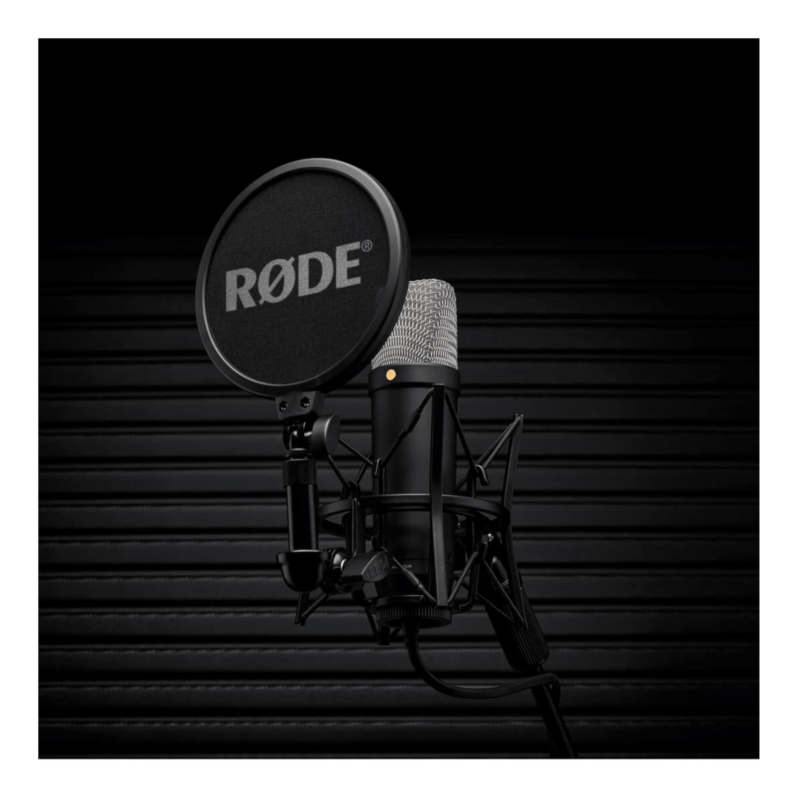 Amazon.co.jp: Rode NT1 第5世代コンデンサーマイク (ブラック) GFW